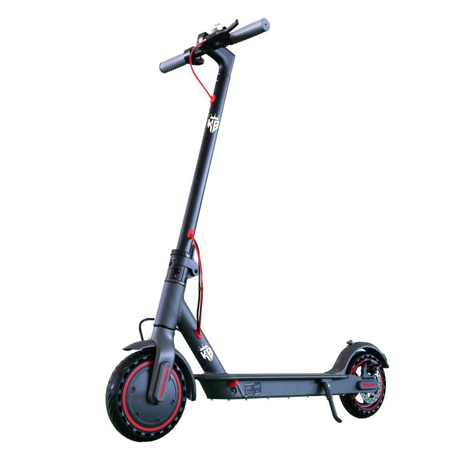 scooter adulto